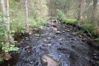 13946 Vattennivå: hög Provtagning: Länsstyrelsen Gävleborg Grumlighet: klart Prov taget från: sten Vattenfärg: färgat Antal borstade stenar: 5 Vattentemperatur: 12 C Analysmetodik: SS-EN 14407