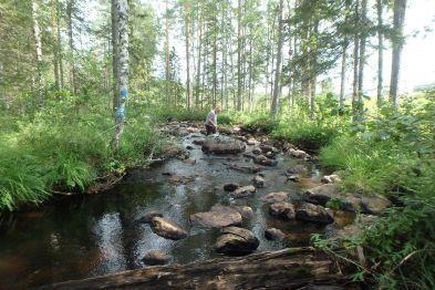 Vattennivå: medel Provtagning: Länsstyrelsen Gävleborg Grumlighet: klart Prov taget från: sten Vattenfärg: färgat Antal borstade stenar: 5 Vattentemperatur: 12 C Analysmetodik: SS-EN 14407