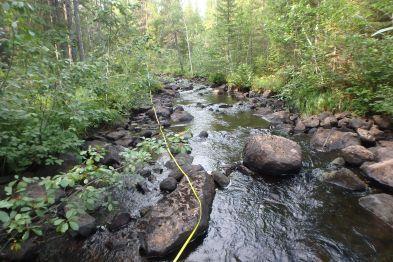 sten Koordinater: 6832184 / 1560731 (RT90 25gonV) Vattendragsbredd: 12,5 m Medeldjup provyta: 0,25 m Vattennivå: medel Grumlighet: klart Vattenfärg: färgat Antal borstade stenar: 5 Vattentemperatur: