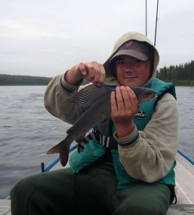 Kalamakoski finns det två kari, ett svenskt och ett finskt. Efter en timmes spösvingande återvände vi till kari för att koka välbehövligt kaffe, ty tröttheten sved en gnutta i ögonen.