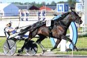 KA HING BOS* (DE) 0: *, AK Total: -0-.99,mr.s.e Donato Hanover - : -0-0.00 0: -0-9.