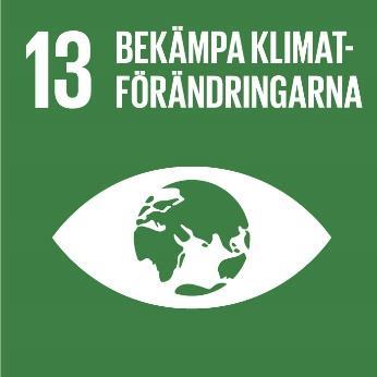 13. Bekämpa klimatförändringarna Bekämpa klimatförändringarna Vidta omedelbara åtgärder för att bekämpa klimatförändringarna och dess konsekvenser Vi ser redan nu tydliga effekter i vår kommun av