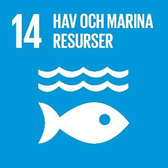14. Hav och marina resurser Hav och marina resurser Bevara och nyttja haven och de marina resurserna på ett hållbart sätt för hållbar utveckling I många av våra sjöar och vattendrag behöver vi
