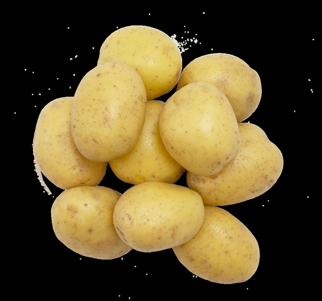 Potatis EKO borstad förkokt A R TI K E L NR V A R U MÄ R K E 901007 (Mellan) Chef s Cut F ÖR