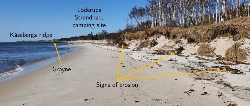 The groynes are seen as the lines perpendicular to the shoreline. Source: Scalgo Live (n.d) Figure 3.