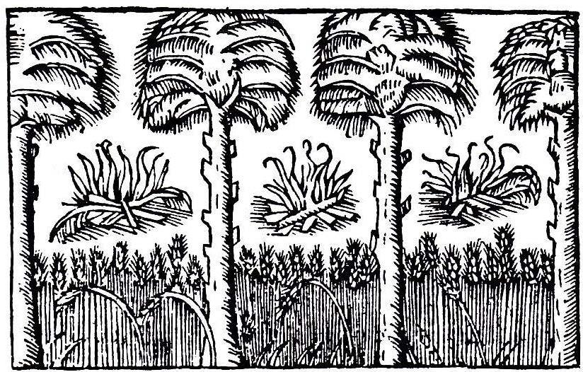 STATEN OCH BÖNDERNA 1500-1700 225 Olof i " Laggetorp ", upptagit av ödemark anno 1580, går i skatt 1587. Åker till 1 tunna, gott tillfälle till åker. Äng till 13 sommarlass.