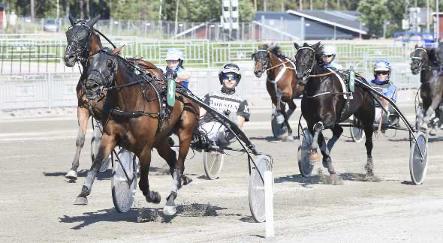 KEVIN VEDLUND NY A-TRÄNARE PÅ GÄVLETRAVET Efter att ha arbetat hos flera större tränare och varit verksam inom travsporten sedan han var liten via ponnytravet tog Kevin vedlund ut sin proffslicens på