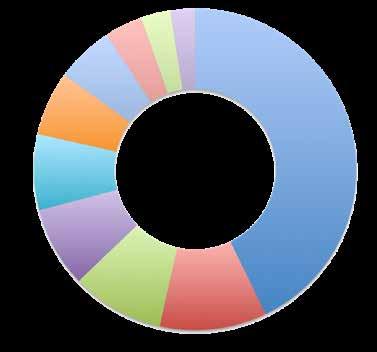 Funktion, Ministerium /Behörde 8% Chefingenieure / Chefkonstrukteure 6% Betriebsingenieure 6% alle anderen 4%