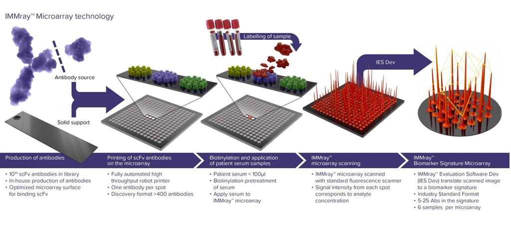 Produktionen sker i Immunovias egna faciliteter och uppfyller de allmänna kraven i EN ISO 13485. Var god se nedan för schematisk bild av produktionen.