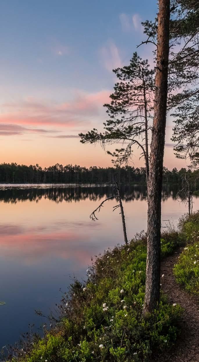 Ordlista Agonist Ett läkemedel som binder till cellens receptorer och som via stimulering av dessa receptorer utlöser en fysiologisk reaktion.