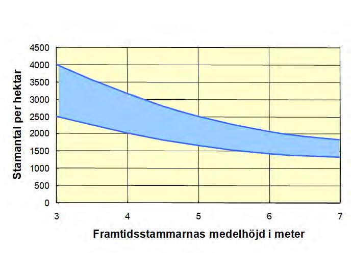 sämst då röjningen utfördes under tillväxtsäsongen och då röjningsstammarna kapades nära markytan på traditionellt sätt.