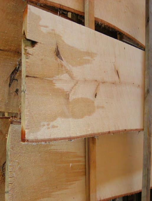 8.4.2. Plywood Vid plywoodtillverkning kommer också björkens goda styrkeegenskaper till sin rätt. Detta är välkänt hos plywoodfabrikerna på andra sidan Östersjön.