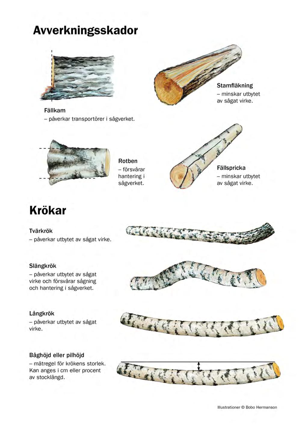 Avverkningsskador Krökar Figur 8:7. Översiktlig sammanställning av avverkningsskador och krökar på björkstock.