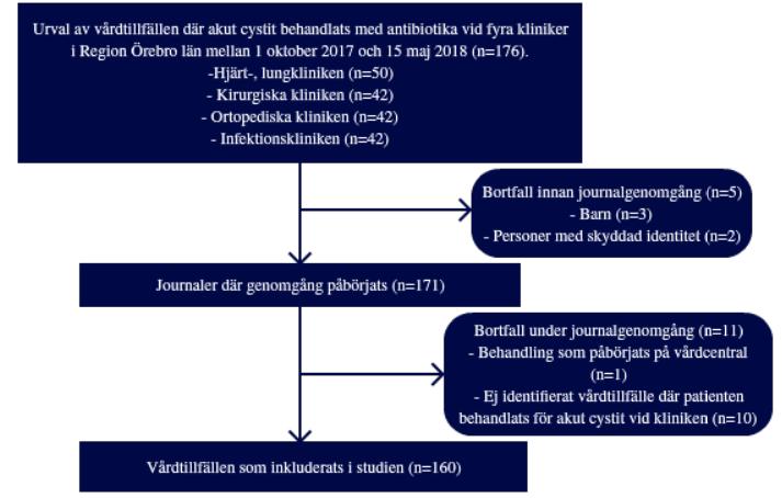 strategi för att bekämpa antibiotikaresistens och den anses därmed överstiga patienternas behov av sekretess. 4. Resultat 4.