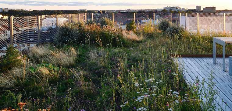 Foton Urbio bidra till stadsbyggnadsprinciper för Centralmarken såsom olika uttryck och upplevelsevärden i olika skalor och på olika avstånd, identitet,