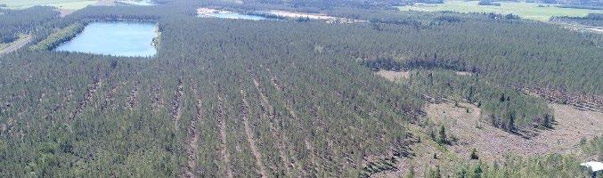 betraktas som skog. Hela området används som ekonomiskog och det finns ett nätverk av skogsvägar på området. Figur 5. Ortoflygfoto av planeringsområdet.