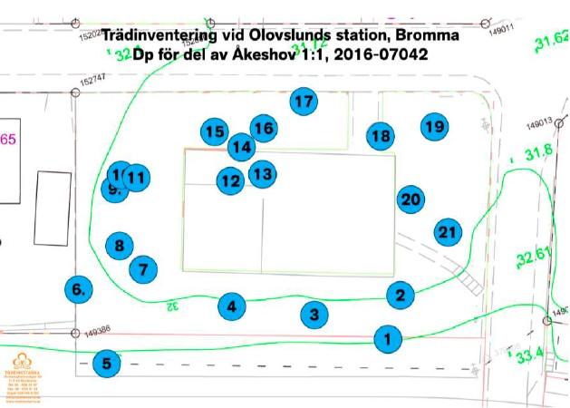 Sida 30 (41) detaljplanen. Byggaktören uppmuntras att bevara tallarna om det är möjligt.