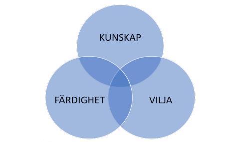 organisationer förändras av naturliga orsaker i syfte att skapa och erhålla kompetens och kunskaper för att kunna erhålla och ta marknadsandelar.