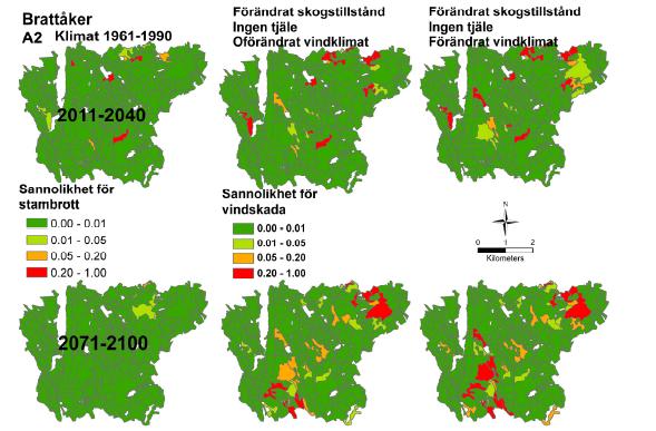 Figur SPS82 Beståndsvis sannolikhet för vindfällning för Brattåker i Västerbotten aggregerad över 30 år för perioderna 2011 2040 och 2071 2100 under klimatet för perioden 1961 1990, under inverkan av