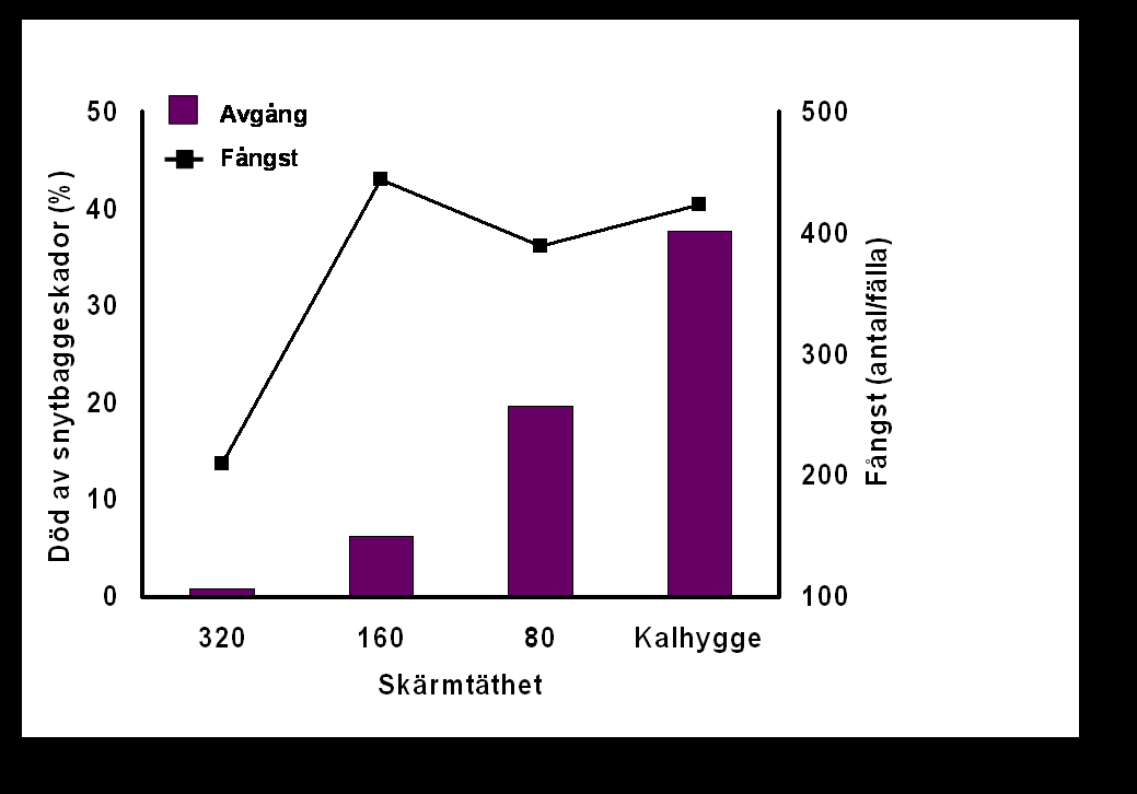 Skärmställning Flera studier visar att skärmar ger plantor ett visst skydd mot snytbaggens gnag (figur SPS27).