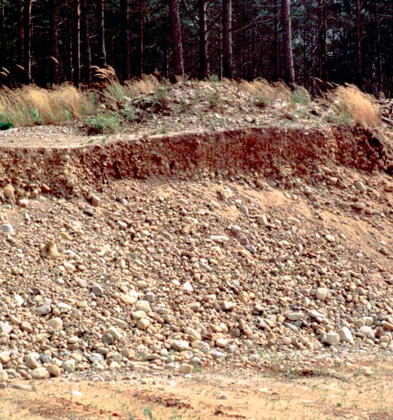 finner vi överallt på ön eftersom nästan hela Öland legat under vatten i den stund inlandsisen släppte sitt grepp om ön.