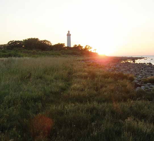 1 STORA GRUNDET GPS-koordinater: X 6360903, Y 1577714 Längst upp vid Ölands norra udde ligger Stora grundet, tidigare kallad för Oxelholmen. Här står Ölands norra uddes fyr, Långe Erik.