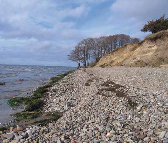 KLEVA GPS-koordinater: X 6269705, Y 1536120 Stranden är en av Ölands vanligaste naturtyper. På sydöstra Öland svämmas marken periodvis över av sjövatten. Där bildas sjöängar; marsk.