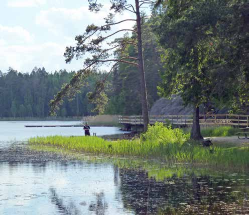 Tveta Friluftsgård Friluftsgård vid sjön Måsnaren med motionsslingor på 1,5 km, 2,5 km, 5 km, 7 km och 10 km, elljusspår, bastu och omklädningsrum.
