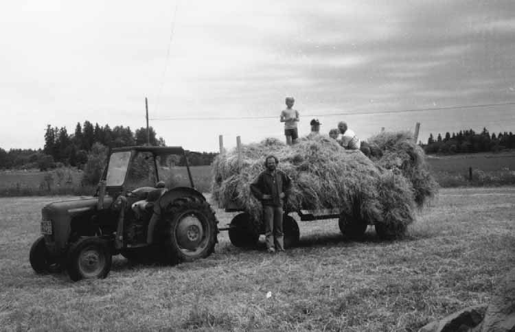 200 balar hö är ungefär 1 500 kg som är ungefär en balvagn proppfull. 545 kg kraftfoder är drygt 100 kg per tacka. Priset varierar oerhört mellan åren. 1 2 kronor kilot är ett grovt mått.