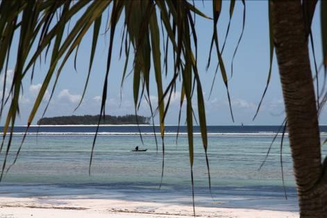 26(26) 13.2Mnemba Island Mnemba Island ligger ca 20 min båtfärd utanför Zanzibars nordöstra kust och nås bl.a. från Nungwi.