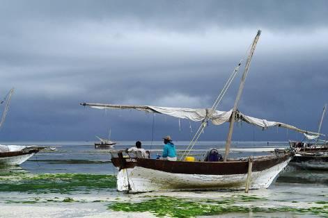 7(26) 4.2 Tidvatten på Zanzibar På Zanzibar är tidvattenskillnaden ca 4m vilket innebär att det är högvatten (flod) två gånger per dygn och lågvatten (ebb) två gånger per dygn.