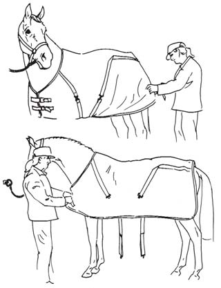 Stå upp vid skötsel En sittande hästskötare blir snart en liggande hästskötare säger ett gammalt ordstäv Vid skötsel av hästens ben, stå med raka ben eller sitt på huk, (stå aldrig på knä) och iaktta