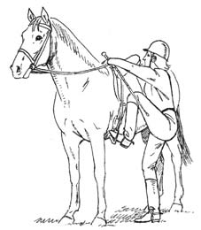 UPP- OCH AVSITTNING Upp- och avsittning Vid upp- och avsittning hålls ridspöt i vänster hand. Tyglarna ska ligga på hästens hals.