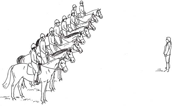 Korrekt uppställd avdelning Luckan mellan hästarna ska vara cirka tre meter. Vid genomgång med erfarna ryttare kan luckan eventuellt minskas till en meter.