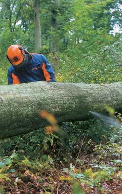 Tryckpåundersidan 1. Börja med underkapet upp till ca 1/3 av stammens diameter, eller tills svärdet tenderar att nypa fast. 2. Kapa därefter från ovansidan med mötande skär.