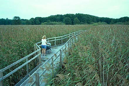 Fig. 6.7:3 Mötesplatser är viktiga.. Foto Torleif Nilsson. 6.8. Avstånd Lämplig längd på slingor i naturen är 300-1500 m.