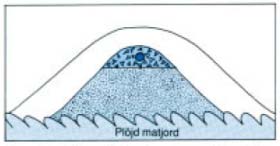 Figur 6. Upphöjd infiltration (s.k. mound) Figur 7. Principutformning av markbädd. Dimensionerande infiltrationsyta är sandens överyta.