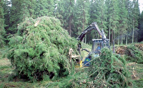 Skogsbränsleuttag Bild 5. Lastning av avverkningsrester i samband med skogsbränsleuttag. 12 Vad säger regelverket om skogsbränsleuttag?