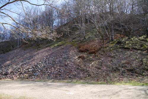 5 Isälvsavlagring och drumlinen vid Blinkarp Fig. 4. Geomorfologisk karta över Nackarpsdalen och Odensjön. Modifierad efter Rapp (1984). Fig. 1. Den mindre av ryggformerna.