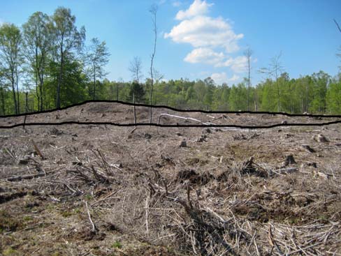 1) består av en bergskärna med mer eller mindre täckande vittringsmaterial runt omkring. Kullarna är alltså vittringsformationer och åtskiljs från varandra av områdets svaga sprickbildning.