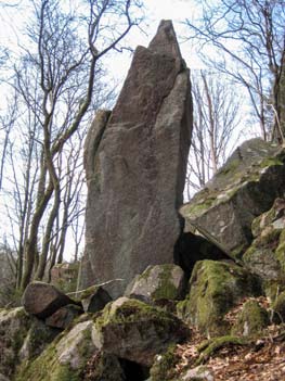 Det är ovanligt att man kan se en så stor mängd av ett och samma mineral på samma plats. Fig. 1. En hel vägg som domineras av röd kalifältspat i det nedlagda stenbrottet. Foto: Sara Florén.