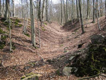14 Stenbrottet i Båv Tidigare fanns i Båv ett stenbrott där man bröt diabas (Fig. 2) och amfibolit (Fig. 3). Även grönstensgångar (Fig.