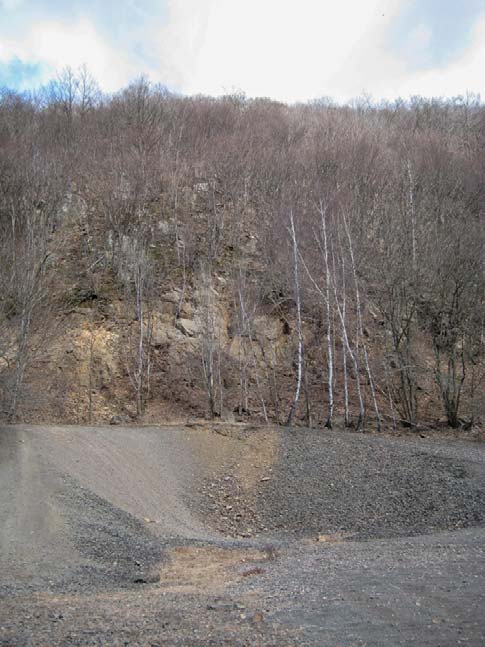 Granodiorit är en sur magmatisk bergart som påminner mycket om den vanligare graniten. Det förekommer även gångar av diabas i området. Diabas är en basaltisk magmatisk gångbergart.