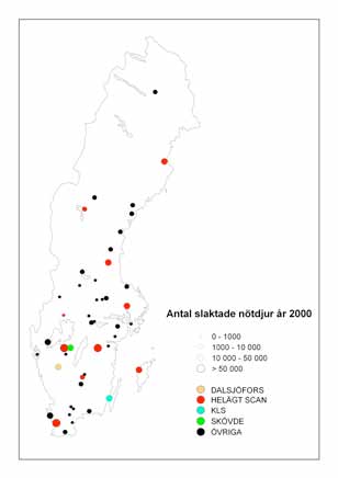 ökat 21. Produktiviteten mätt i miljoner kronor har således ökat över tiden för slakteri och köttvaruindustri, men det bör noteras att ingen hänsyn tagits till inflationsutvecklingen.