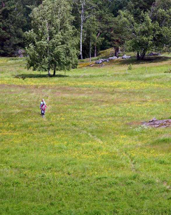 Vägvisare till naturen i Haninge Haninge är en kommun med en för Stockholmstrakten ovanligt rik och mångskiftande natur.