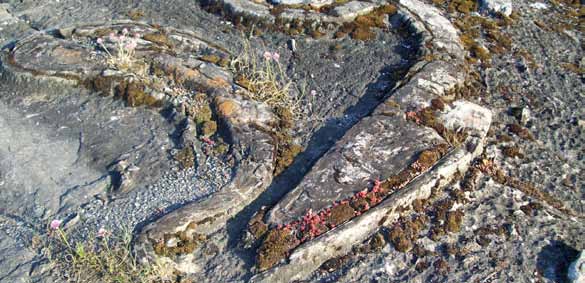 Geologi Haningebygden är en verkligt gammal bygd - förmodligen mycket äldre än du anar. Det berg som vilar under våra fötter bildades för ca 2 000 miljoner år sedan och kallas urberg.