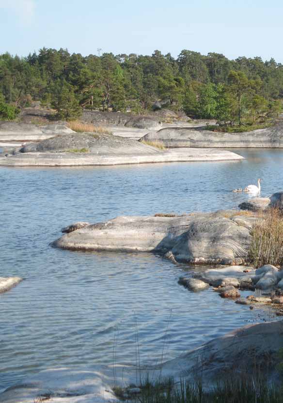 Östra fladen på Utö Visste du att? Skärgården är en sårbar miljö som måste nyttjas med omdöme och ansvar. Ytterskärgårdarnas klipphällar med sitt tunna jordtäcke är känsliga för slitage.