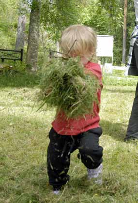 Från blomma till blomma fladdrar blåvingar och pärlemorfjärilar på jakt efter nektar. Men visste du att artrikedomen i en hagmark kan vara beroende av vad du handlar till middag?