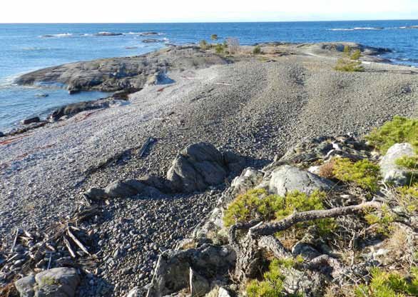 Förord Som Haningebo eller tillfällig gäst i vår kommun är du bara några mil från det pulserande livet i Stockholms innerstad. Samtidigt har du den rika naturen alldeles utanför dörren.