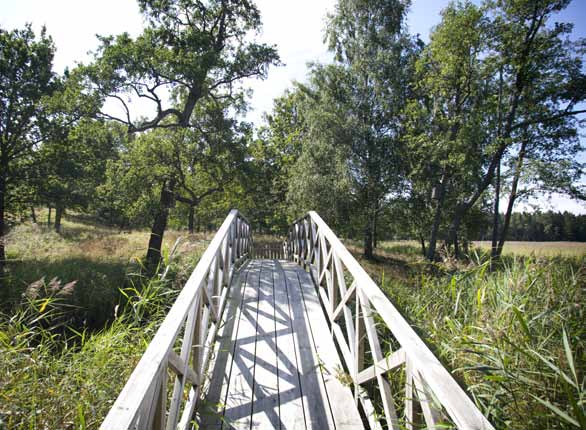 Vid utloppet av Sundbymaren på Ornö Några förslag på dagsutflykter En dagstur för att uppleva Haningenaturen kan göras på många sätt.